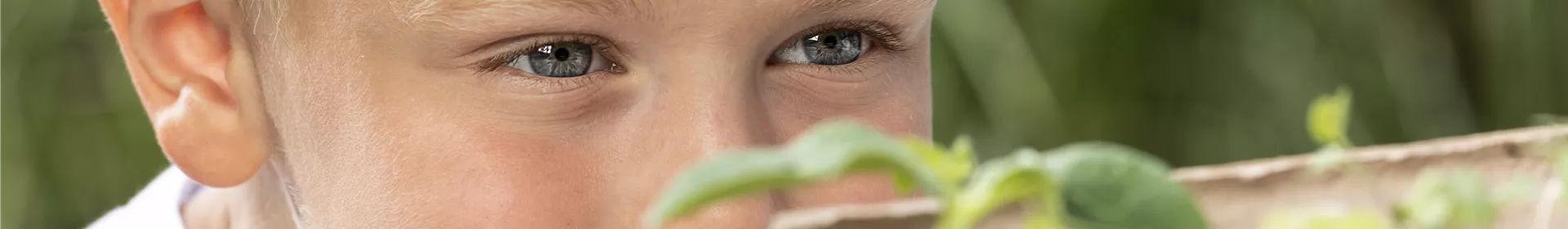 Grüne Bastelideen für Groß und Klein - Rosengut Langerwisch