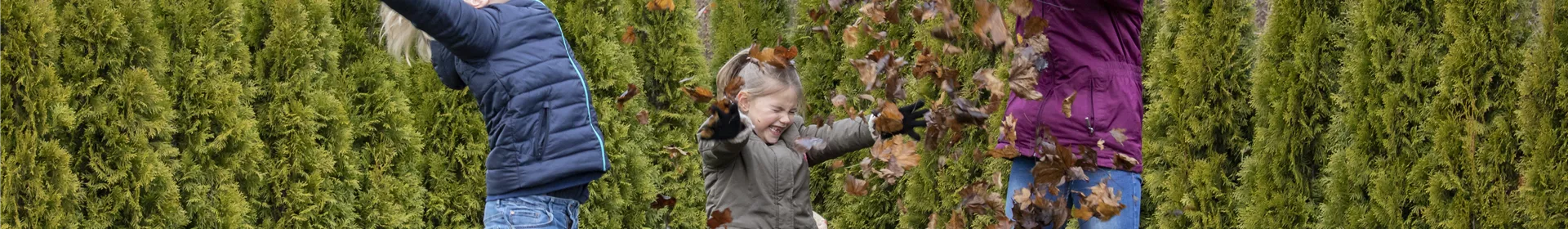 Spiel, Spaß und Sport: Der Garten als grünes Fitness-Studio - Rosengut Langerwisch