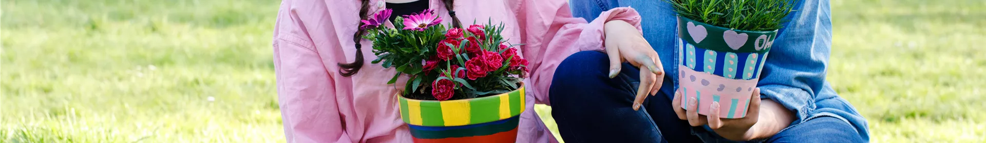 Rustikale Pflanzgefäße selber machen - Rosengut Langerwisch Rustikale Pflanzgefäße selber machen - Rosengut Langerwisch