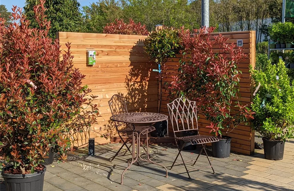 Holz für Terrassen- und Gartenprojekte